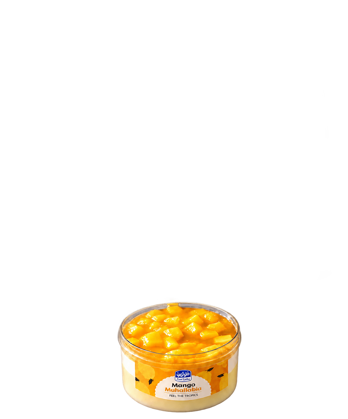 Mango Muhallabia